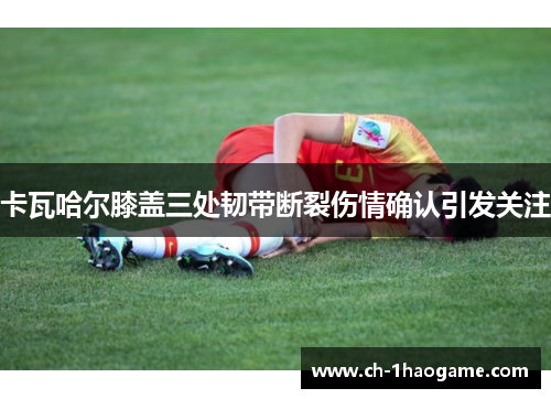 卡瓦哈尔膝盖三处韧带断裂伤情确认引发关注