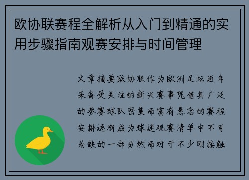 欧协联赛程全解析从入门到精通的实用步骤指南观赛安排与时间管理